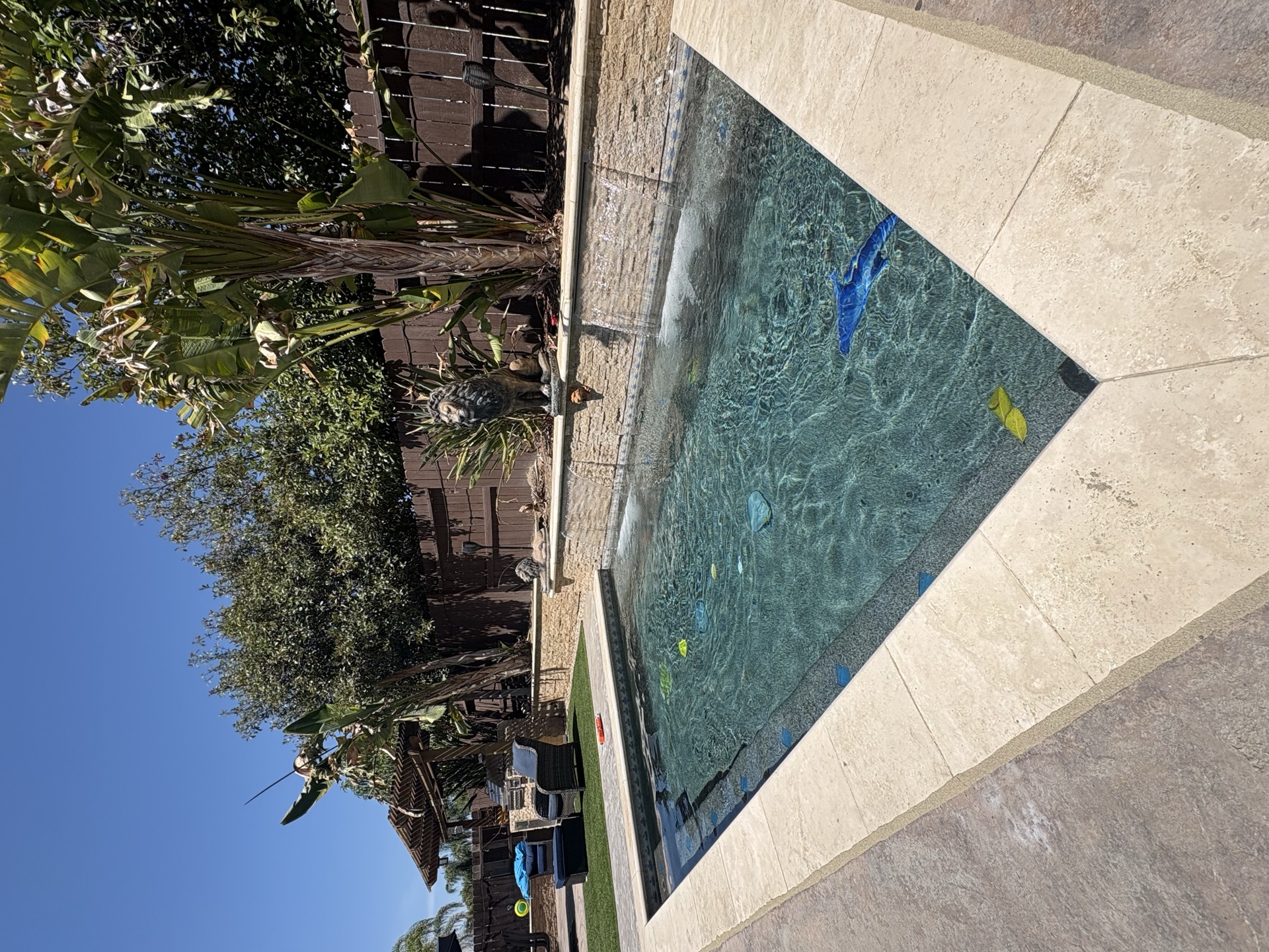 Pool with rock waterfall feature and tropical landscaping